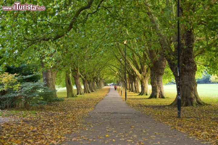 Immagine Autunno in un parco di Cambridge, Inghilterra - Una bella immagine di un vialetto alberato in uno dei tanti parchi della città britannica. Con l'arrivo dell'autunno le foglie gialle rivestono i caratteristici prati all'inglese che si trasformano in un manto dalle mille sfumature © Ali Ender Birer / shutterstock.com