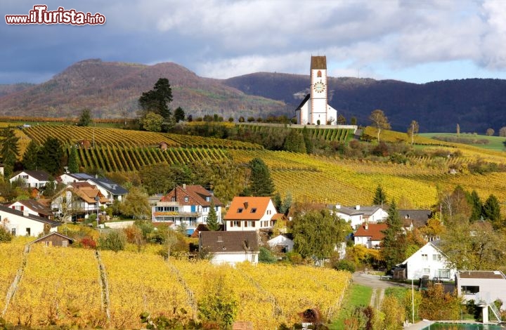 Immagine Ampia veduta dei vigneti di Klettagau, nei dintorni di Sciaffusa in Svizzera - © Yu Lan / Shutterstock.com