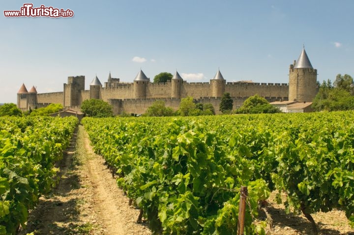 Immagine Vigneti intorno a Carcassonne: ci troviamo in Occitanie (ex Linguadoca-Rossiglione), l'assolata regione meridionale della Francia - © javarman / Shutterstock.com