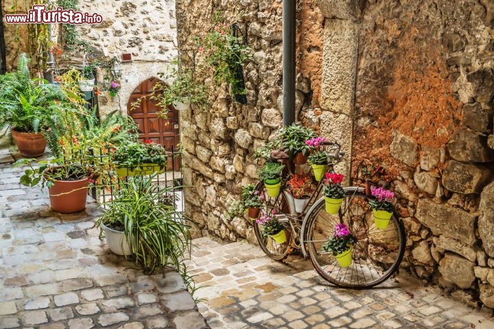 Immagine Villaggio delle viole, Tourrettes sur Loup  - Ad abbellire le costruzioni in pietra dell'antico borgo di Tourrettes sono piante e profumate decorazioni floreali che, grazie alla creatività degli abitanti, diventano vere e proprie creazioni artistiche come quella della simpatica bicicletta qui ritratta nella fotografia di un suggestico scorcio panoramico © Laborant / Shutterstock.com