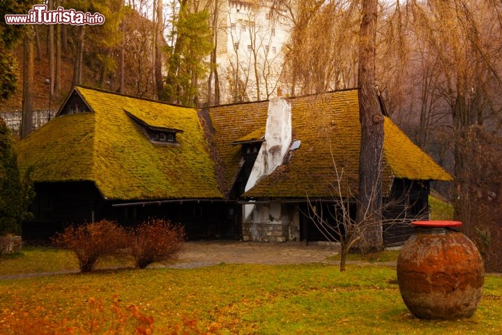 Immagine Villaggio tradizionale nei pressi di Bran, in Transilvania  - © Sergey Novikov / Shutterstock.com