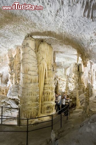 Immagine Visita alle Grotte di Postumia: la spettacolare Sala bianca, resa splendente dalla purezza delle concrezioni di carbonato di calcio. Siamo in Slovenia occidentale - Cortesia foto www.postojnska-jama.eu