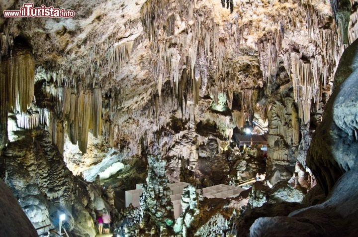 Immagine  Grotte di Nerja, Spagna - Sono una delle attrazioni più visitate dai turisti che si recano in questa città dell'Andalusia. Pochi chilometri fuori dal centro storico di Nerja si trovano infatti le famose cuevas, o grotte, che rappresentano anche la destinazione preferita in Spagna dopo il museo del Prado di Madrid. Scoperte per caso da tre ragazzini nel Gennaio del 1959, questi incanti naturali vantano dimensioni spettacolari, la stalattite conosciuta più lunga d'Europa con i suoi 63 metri oltre a numerose e interessanti pitture rupestri risalenti probabilmente al paleolitico © Brendan Howard/ Shutterstock.com