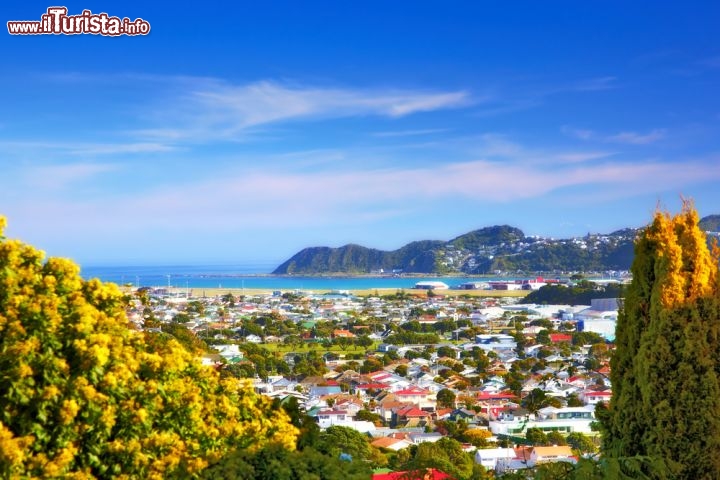 Immagine Veduta panoramica di Wellington, capitale della Nuova Zelanda, situata nella punta sud-occidentale dell'Isola del Nord... non è solo la capitale "più meridionale" del mondo, ma è anche la più isolata, ovvero la più lontana da qualsiasi altra capitale del pianeta. Soprannominata "Città del Vento" o "Città del Golfo", si affaccia sullo Stretto di Cook ed è circondata da dolci montagne - © Dhoxax / Shutterstock.com