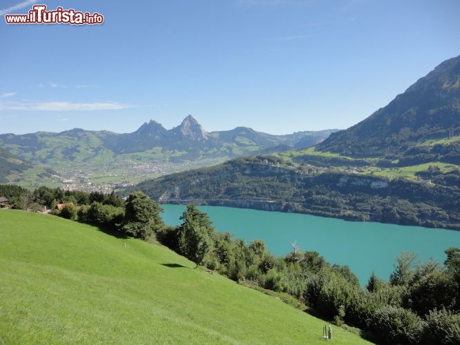 Immagine Vista lago 4 Cantoni dalla Seelisberg Rundwanderungen, famoso percorso di trekking della Svizzera
