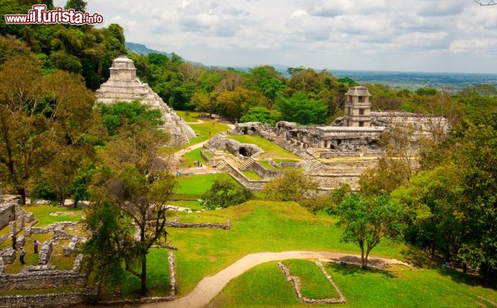 Immagine Palenque dall'alto. Il sito archeologico nello stato messicano del Chiapas non è il più grande né il più famoso del Messico, ma custodisce alcune delle architetture più belle lasciate dal popolo Maya - © Nataiki / Shutterstock.com