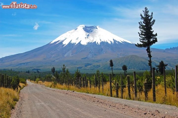 Immagine Il vulcano Cotopaxi in Ecuador, il più alto vulcano attivo del mondo. Situato a 50 km sud-est della capitale Quito ad un'altitudine di 5872 metri sul livello del mare, questo stratovulcano ha la forma di un cono perfetto: il cratere sulla sommità misura circa 700 metri di diametro mentre la base del cono è larga 23 chilometri. Il suo nome significa "Collo della Luna" - © Alan Falcony / shutterstock.com