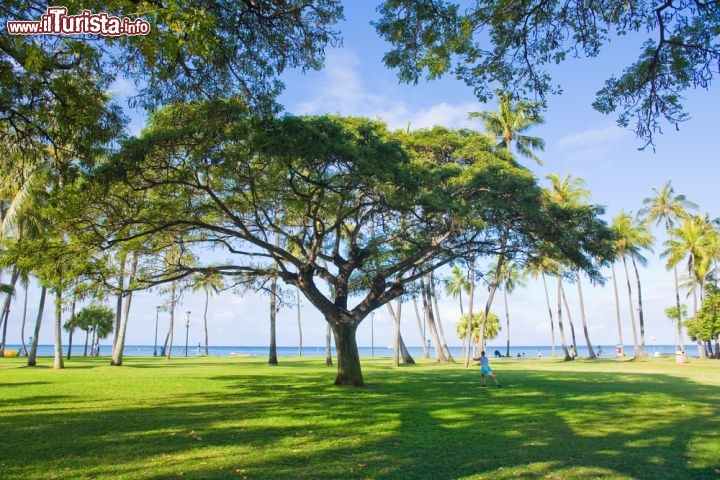 Le foto di cosa vedere e visitare a Honolulu