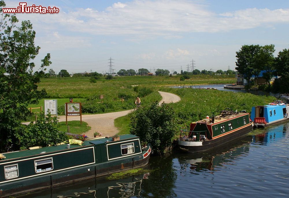 Immagine Veduta di Walthamstow Marshes nella città di Londra, Inghilterra. Questo sito di interesse scientifico di 36,7 ettari sorge nel distretto londinese di Waltham Forest.