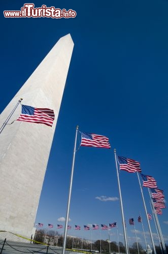 Immagine Il Washington Monument si trova nell'omonima capitale degli Stati Uniti d'America (USA), distretto di Columbia - © Orhan Cam / Shutterstock.com