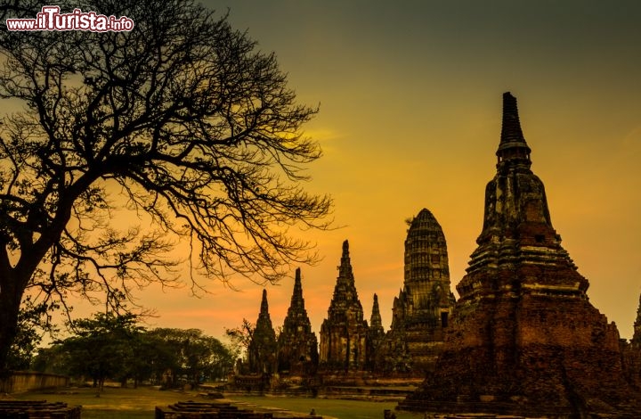 Immagine Il tempio di Wat Chaiwatthanaram di Ayutthaya (Thailandia) - © SasinT / Shutterstock.com