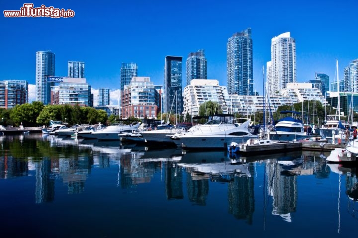 Immagine il Waterfront di Toronto. La capitale dell'Ontario si trova nella regione dei grandi laghi e sorge nel Canada orientale sulle rive del Lago Toronto. Non lontano, a sud del centro, si trovano le cascate del Niagara ed il confine con gli Stati Uniti d'America - © PAqnus Febriyant / Shutterstock.com