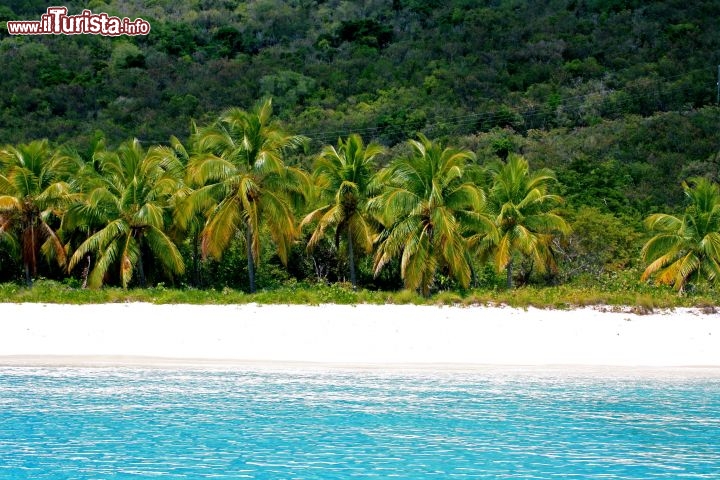 Immagine White Bay a Jost Van Dyke, Isole Vergini Britanniche - Sicuramente la spiaggia più famosa di Jost Van Dyke e delle di tutte le Isole Vergini, non solo per la sua bellezza ma soprattutto per la presenza del famoso bar Soggy Dollar che attira ogni giorno centinaia di turisti da tutto il mondo. - © Guendalina Buzzanca / thegtraveller.com