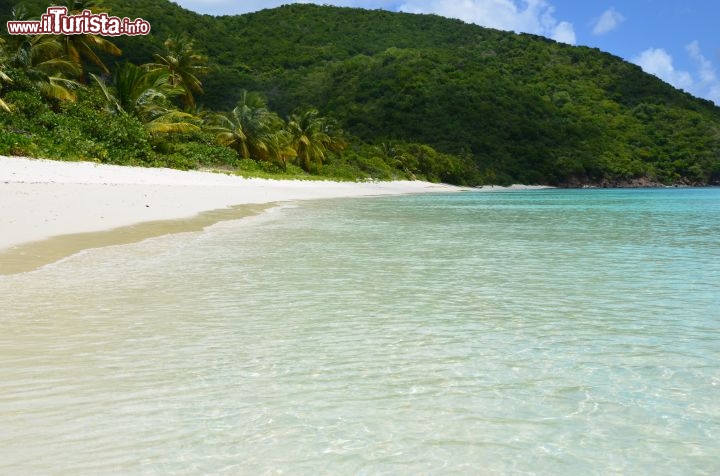 Immagine Una delle spiagge più belle delle British Virgin Islands: White Bay, Guana Island  - © Guendalina Buzzanca / thegtraveller.com