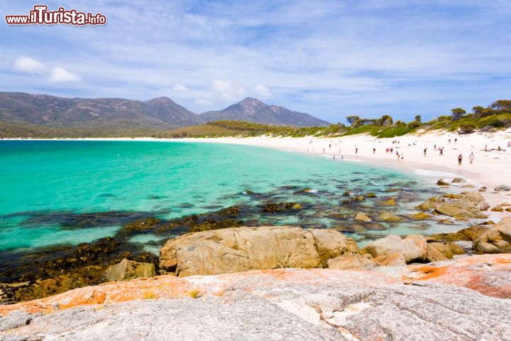 Immagine Wineglass Bay beach: la splendida spiaggia si trova lungo la Penisola di Freycinet, sulla costa orientale della Tasmania, nben a nord della capitale Hobart  - © ian woolcock / Shutterstock.com