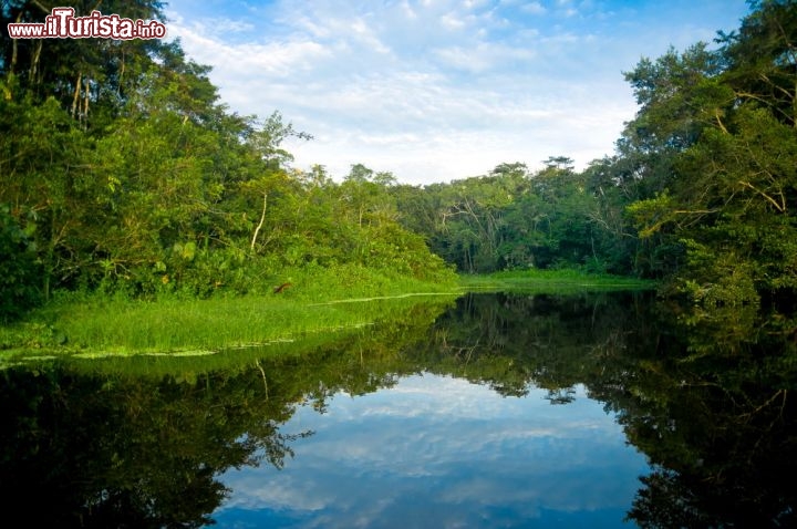 Immagine Panorama dello Yasuni National Park, Ecuador. Questo ampio parco naturale si estende su una superficie di quasi 10 mila chilometri quadrati nelle province di Pastaza e Orellana, nella foresta amazzonica. L'area è costituita principalmente da foresta pluviale e dal 1989 è stata designata dall'Unesco come Riserva della Biosfera poiché accoglie al suo interno una delle maggiori concentrazioni di biodiversità al mondo.