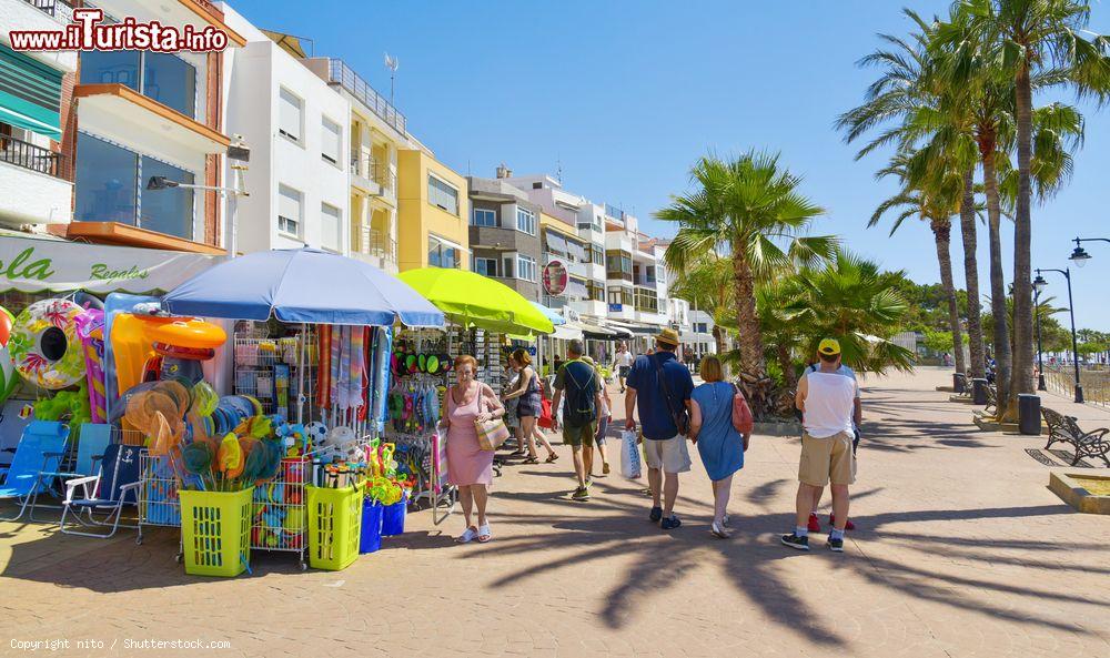 Immagine A passeggio per Paseo Blasco Ibanez a Vinaros, Spagna: questa passeggiata lungomare si trova nelle vicinanze di Playa del Forti - © nito / Shutterstock.com