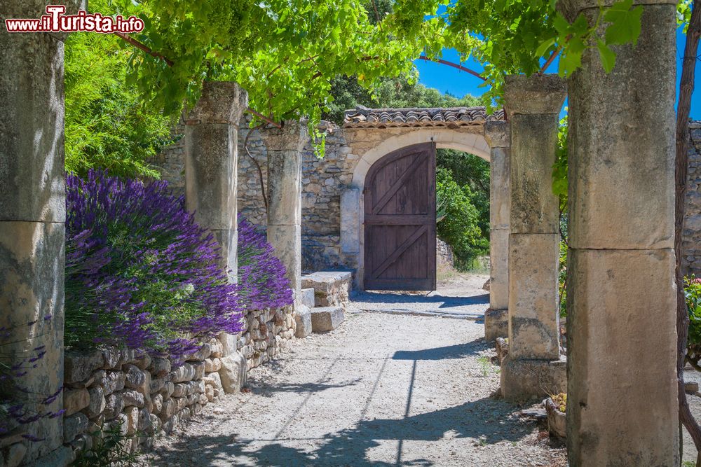 Immagine Abbazia di St.Hilaire nei pressi di Lacoste in Provenza