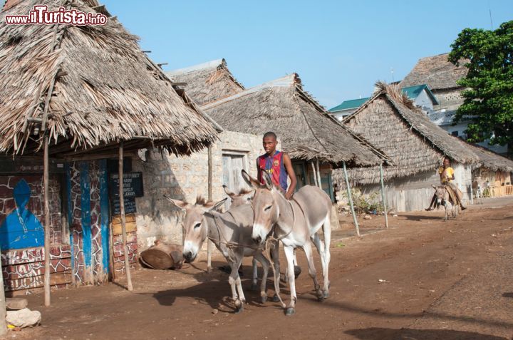 Immagine Un abitante di Lamu, Kenya, sul dorso di un asino - una delle più curiose caratteristiche dell'isola di Lamu, in Kenya, è l'abitudine dei locali di utilizzare ancora gli asini come mezzi di trasporto. Nonostante la modernità del Kenya, questa bella isola è rimasta ancorata alle tradizioni di un tempo, che le conferiscono un'atmosfera di autenticità davvero affascinante.. - © Byelikova Oksana / Shutterstock.com