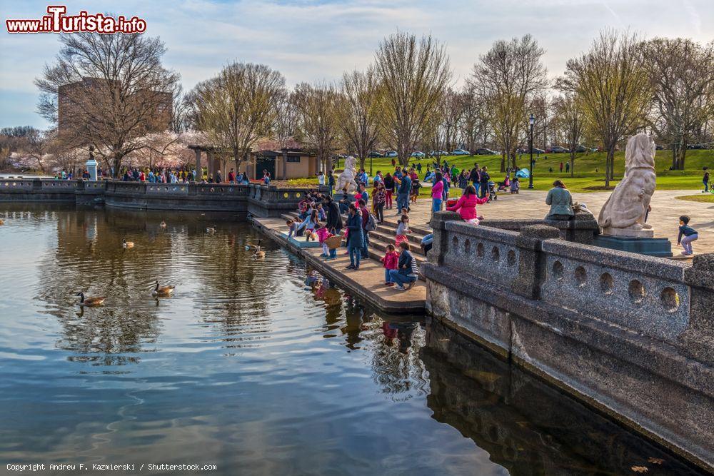 Immagine Abitanti e turisti nutrono le papere durante il festival dei ciliegi fioriti al Branch Brook Park di Newark (USA) - © Andrew F. Kazmierski / Shutterstock.com