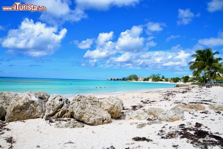 Le foto di cosa vedere e visitare a Barbados