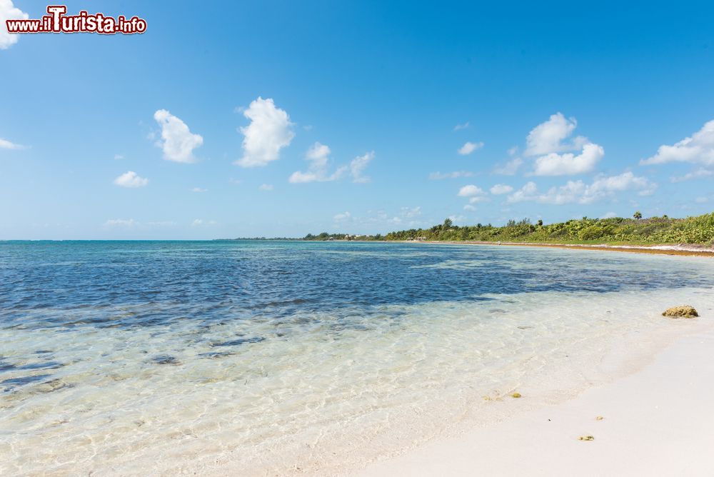 Immagine Acqua cristallina del mare caraibico a Mahahual, Messico. La barriera corallina si trova a soli 200 metri dalla costa.