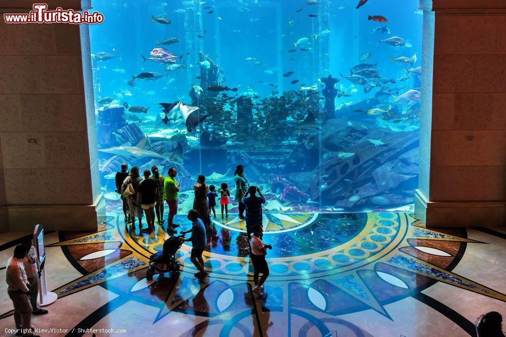 Immagine L'Acquario dell'Hotel Atlantis a Dubai, Emirati Arabi Uniti - © Kiev.Victor / Shutterstock.com