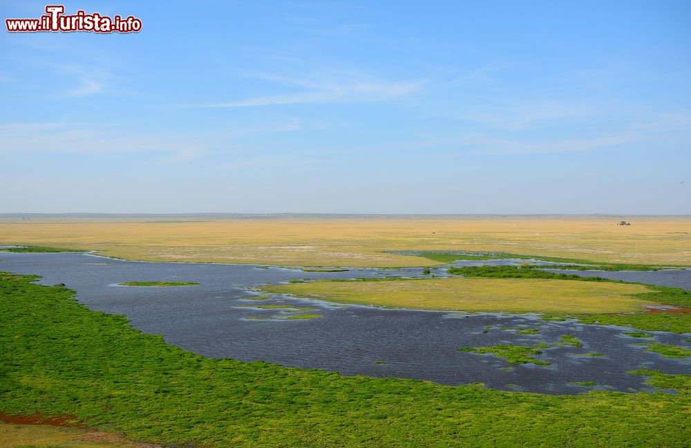 Immagine Acquitrini all'Amboseli National Park, Kenya. La sua splendida posizione ai piedi del monte Kilimanjaro permette di ammirare ogni specie di animale alla ricerca di acqua per abbeverarsi.