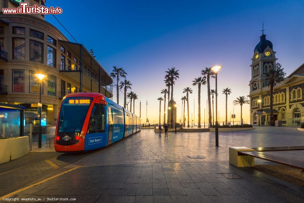 Immagine Adelaidemetro tram in Moseley Square by night nel sobborgo di Glenelg, Adelaide (Australia) - © amophoto_au / Shutterstock.com