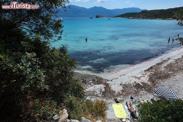 Immagine Mare e natura: le parole d'ordine di Spiaggia Lotu, Corsica - un vero e proprio paradiso naturale è ciò che aspetta chi si avventura nella macchia mediterranea del Desert des Agriates per raggiungere la magnifica Spiaggia Lotu, una delle più belle spiagge della Corsica. Un luogo difficile da raggiungere in cui mare limpido e chiaro, panorami mozzafiato e  natura incontaminata sono gli assoluti protagonisti.