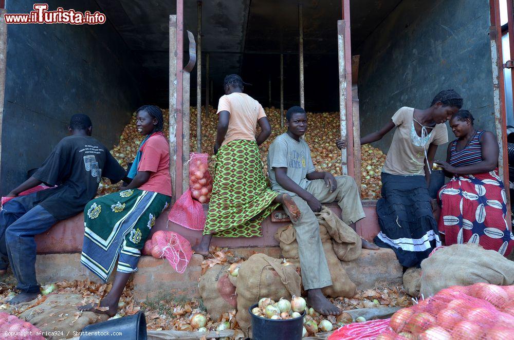 Immagine Agricoltori di Lusaka selezionano cipolle per la distribuzione in Zambia e Malawi - © africa924 / Shutterstock.com