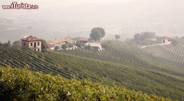 Immagine Alba a La Morra, Cuneo, Piemonte. Immersa in un paesaggio suggestivo con l'antico abitato a pianta medievale e architetture senza tempo, questa cittadella si trova nel cuore del percorso dedicato al vino Barolo