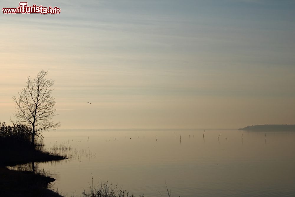 Immagine Alba sul Lago Trasimeno nella zona di Torricella di Magione, in Umbria