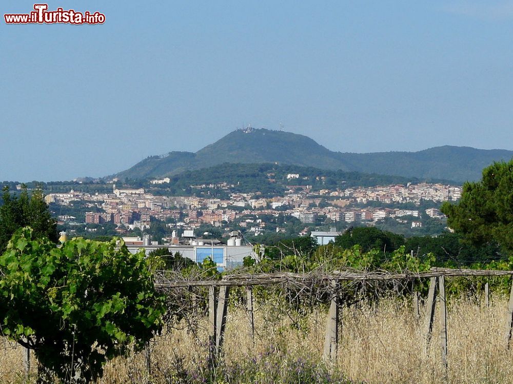 Immagine Albano Laziale, il panorama sui Castelli Romani nel Lazio  - © Deblu68 - Wikipedia
