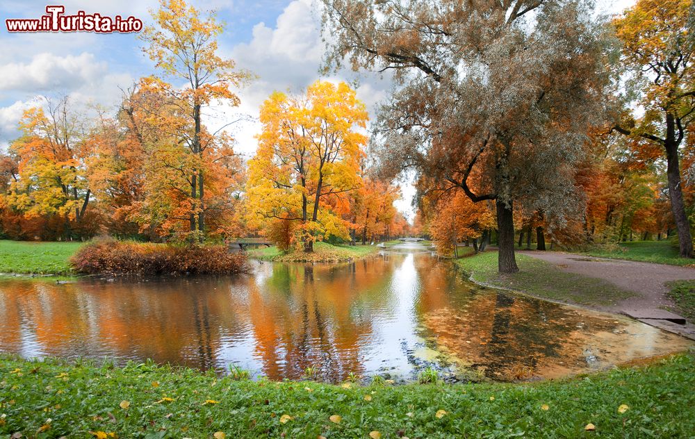 Immagine Alberi con foliage autunnale riflessi in un canale al Catherine Park di Memphis, Tennessee (USA).