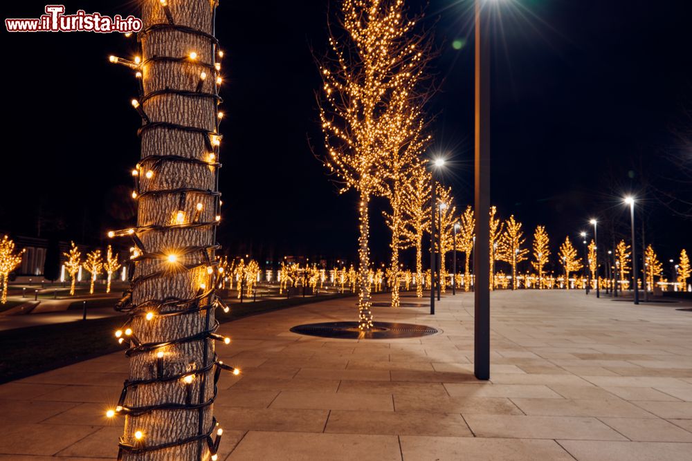 Immagine Alberi decorati con ghirlande e luci natalizie al parco di Krasnodar a Den Haag, Olanda.