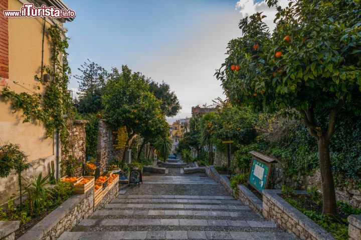 Immagine Alberi di arancio a Taormina, Sicilia. Passeggiando nel cuore della città, ai bordi delle sue strette viuzze, ci si può inebriare dei profumi e colori delle arance siciliane, famose in tutto il mondo.