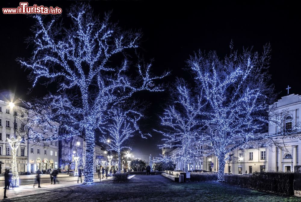 Immagine Alberi illuminati da luci natalizie nel cuore di Varsavia, Polonia, di notte.