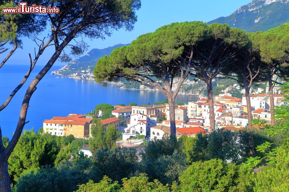 Immagine Alberi verdi e la città di Vietri sul Mare sullo sfondo, Campania, Italia. Ad appena 3 km da Salerno, questa cittadina è considerata la prima delle 13 perle della Costa Amalfitana. E' capitale indiscussa della ceramica artistica e tradizionale.