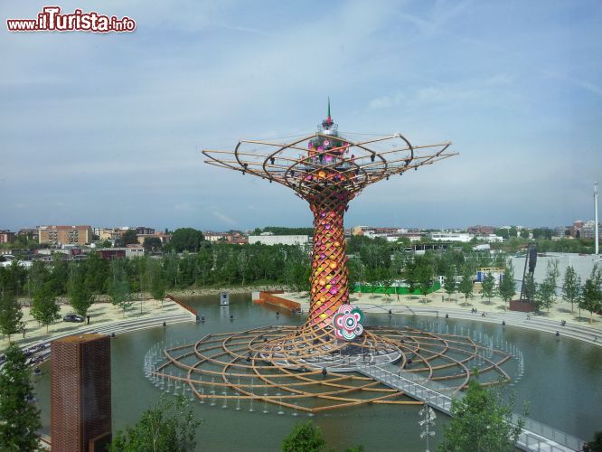 Immagine Albero della Vita a expo 2015 Milano