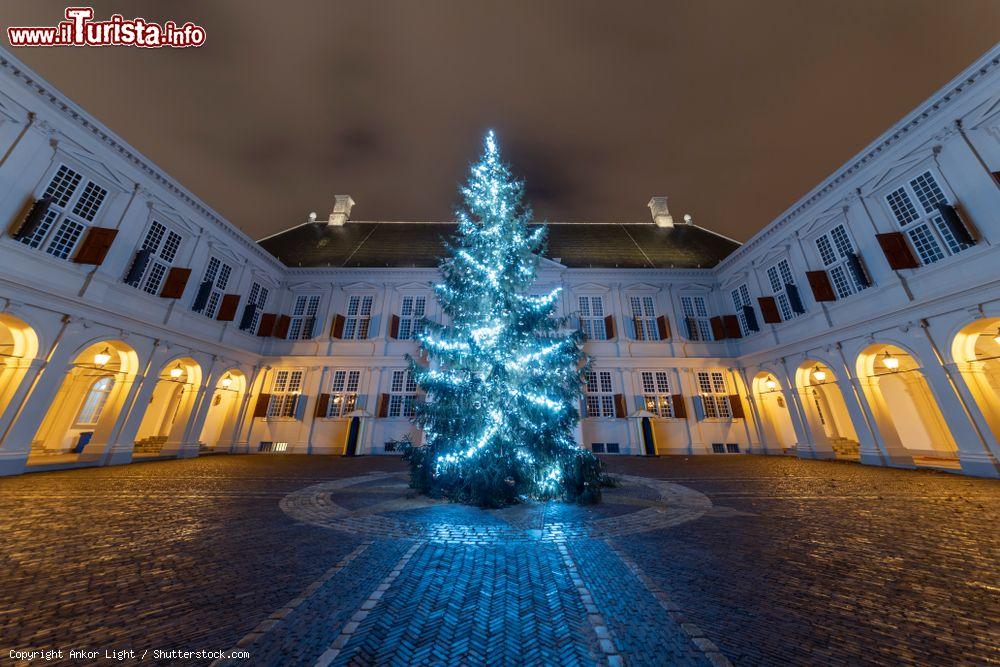 Immagine Albero di Natale illuminato di notte nella residenza del re d'Olanda a Den Haag - © Ankor Light / Shutterstock.com