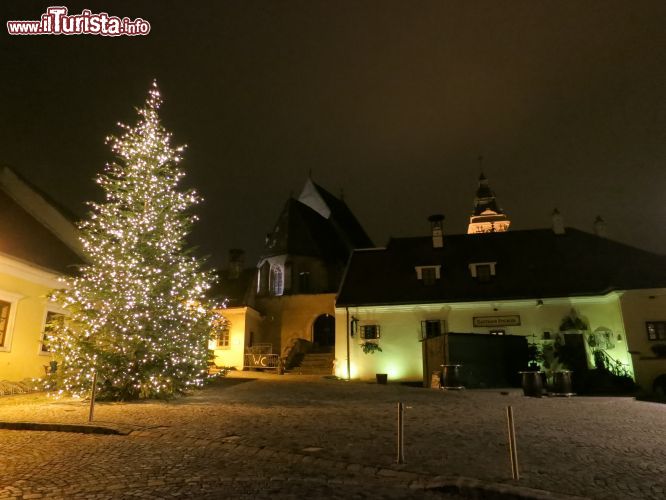 Immagine Albero di Natale illuminato di sera nel centro del villaggio di Rust, Austria.