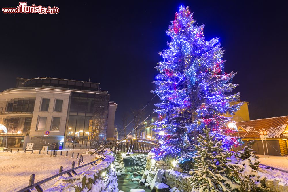 Immagine Albero di Natale in Krupowki Street a Zakopane, Polonia.