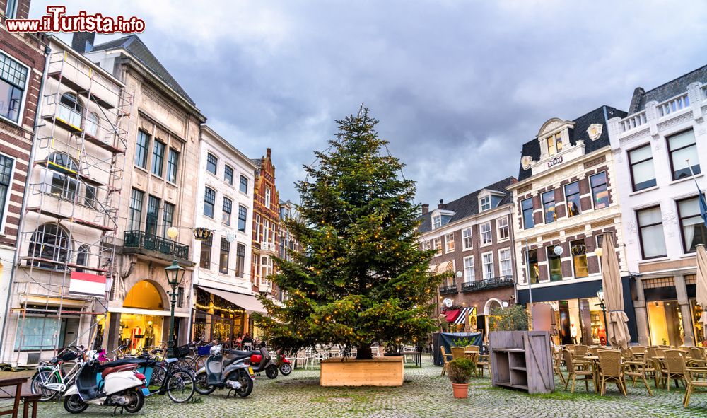 Immagine Albero di Natale in piazza Plaats a L'Aia, Olanda. Fra le più piccole della città, questa piazza ha ospitato nel tempo molti eventi storici trovandosi a fianco dell'antico carcere cittadino.