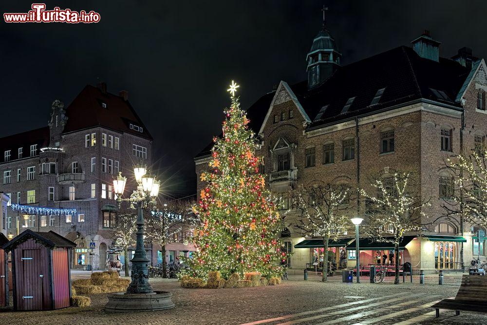 Immagine L'albero di Natale in Piazza Stortorget a Lund by night, Svezia.