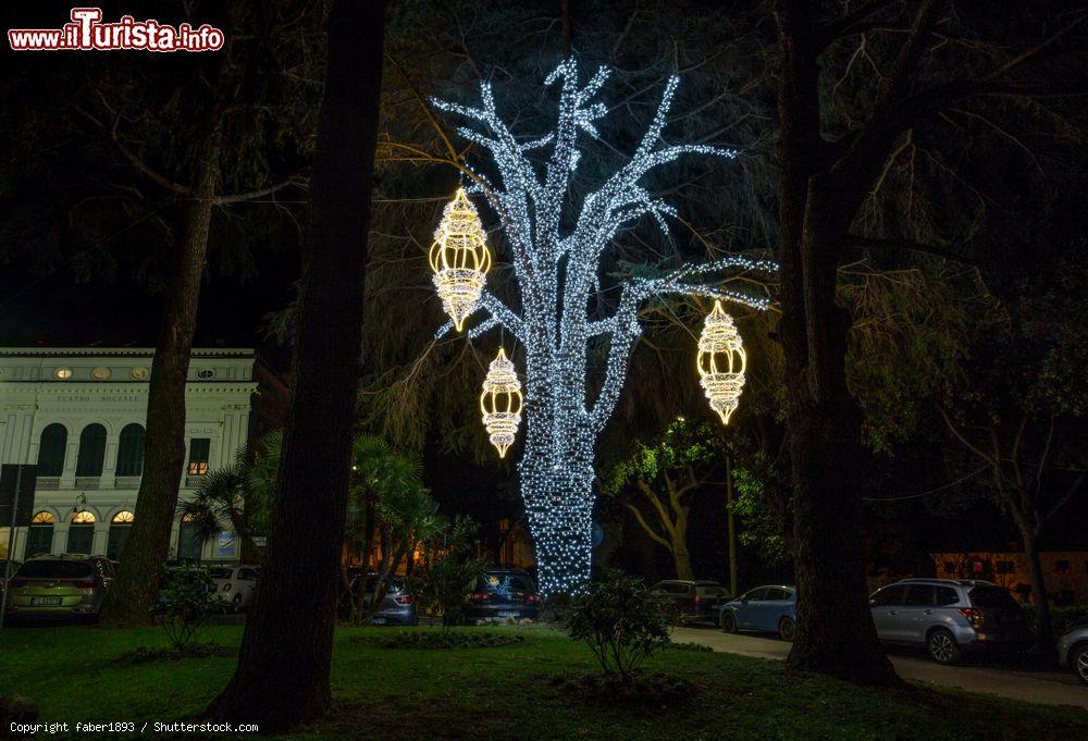 Immagine Un albero illuminato di notte in un parco pubblico di Camogli (Liguria) durante il Natale - © faber1893 / Shutterstock.com