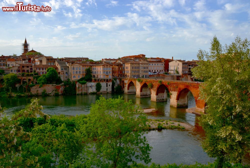 Immagine Veduta panoramica del Pont Vieux e della sponda nord del fiume Tarn ad Albi (Francia).