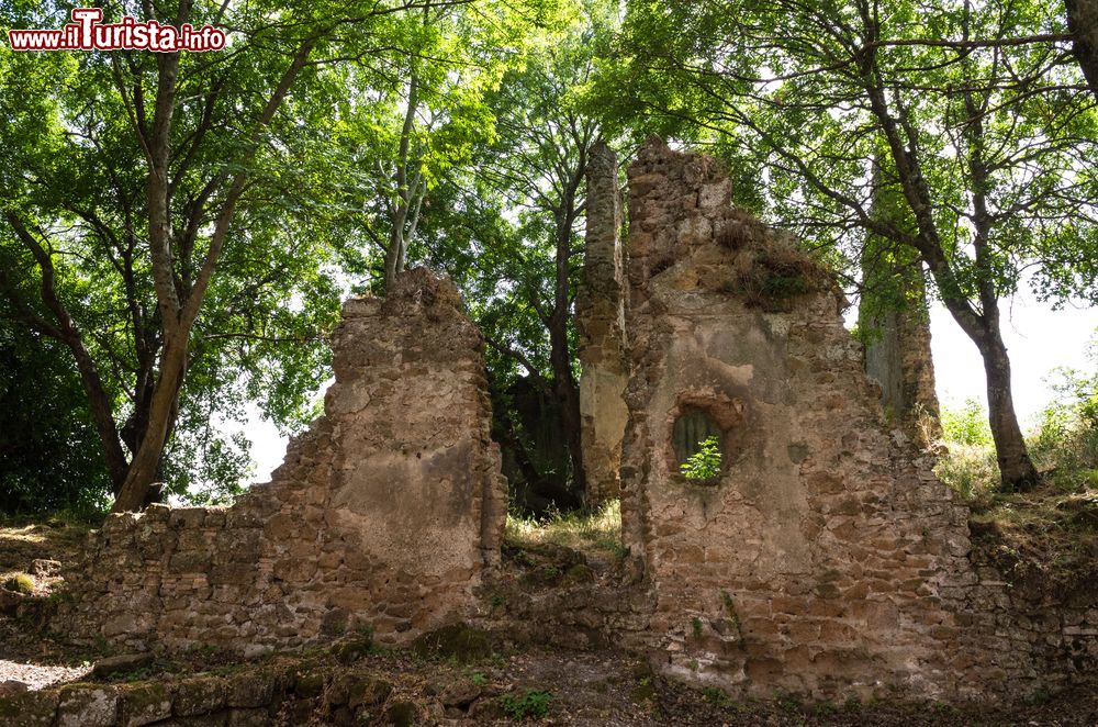 Immagine Alcuni resti del borgo fantasma di Monterano, Roma, Lazio. Particolarmente interessante è il connubio fra il verde incontaminato della natura e le rovine della cittadina.