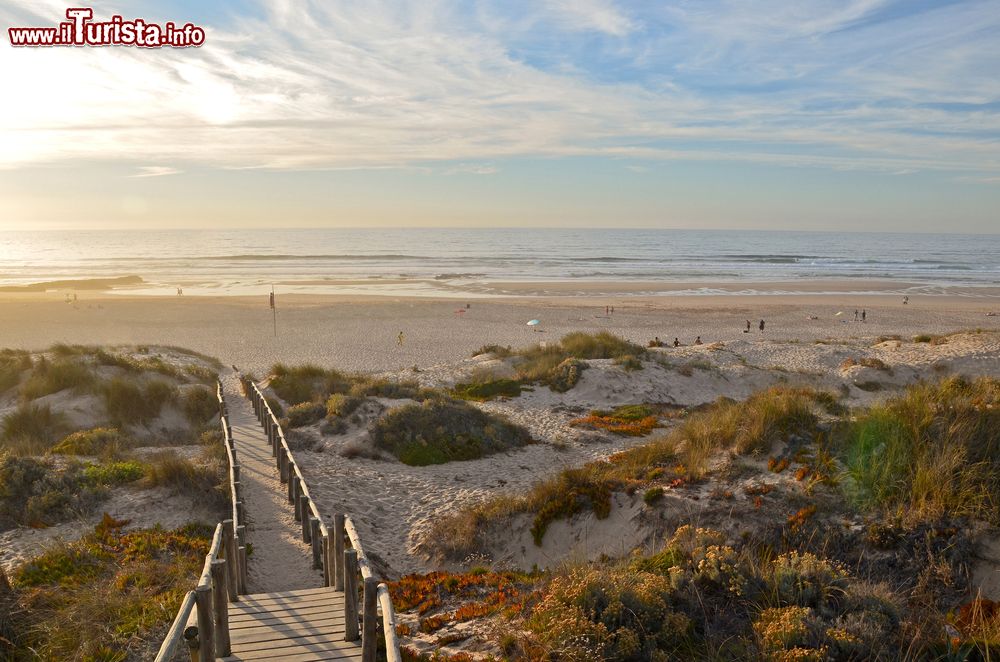 Immagine Algarve, la scalinata in legno per la spiaggia di Monte Clerigo vicino a Aljezur, Costa Vicentina, Portogallo.