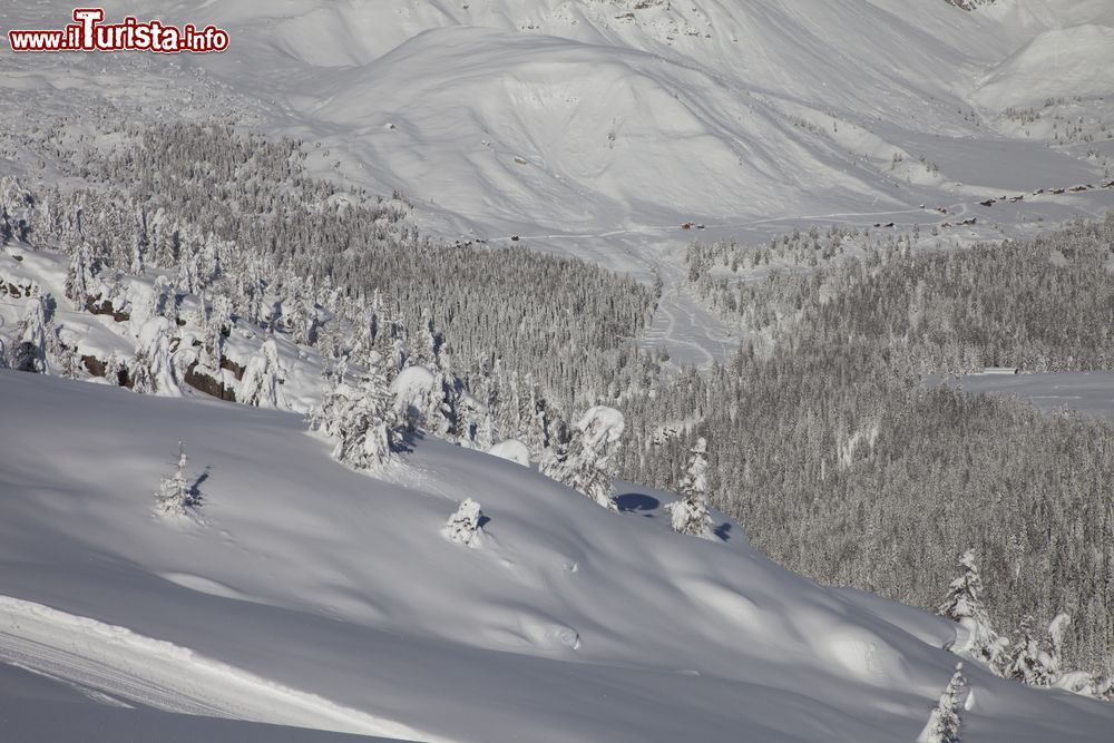 Immagine Le Alpi innevate nei pressi di Falcade, Belluno, Veneto. Circondata da importanti vette dolomitiche, Falcade è una rinomata località turistica sia invernale che estiva.